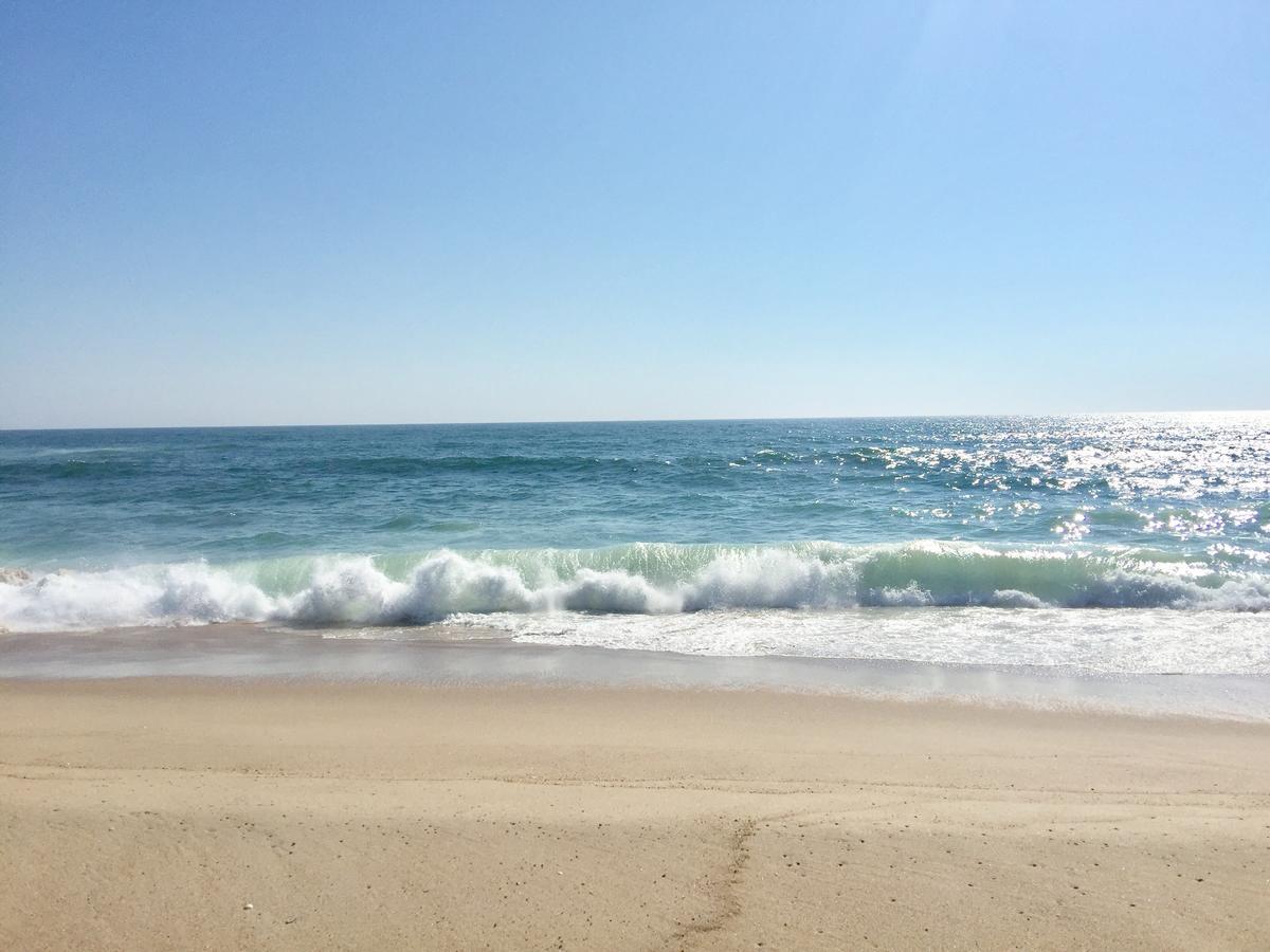 Ocean Vista Resort แอมาแกนเซ็ตต์ ภายนอก รูปภาพ